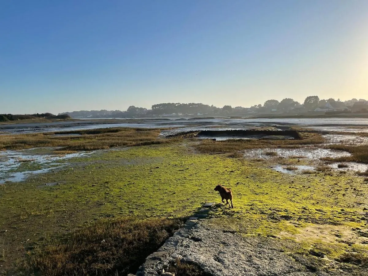 Maison Lumineuse A 7Mn Plages, 5Mn De La Trinite Saint-Philibert  0*, Saint-Philibert (Morbihan) France