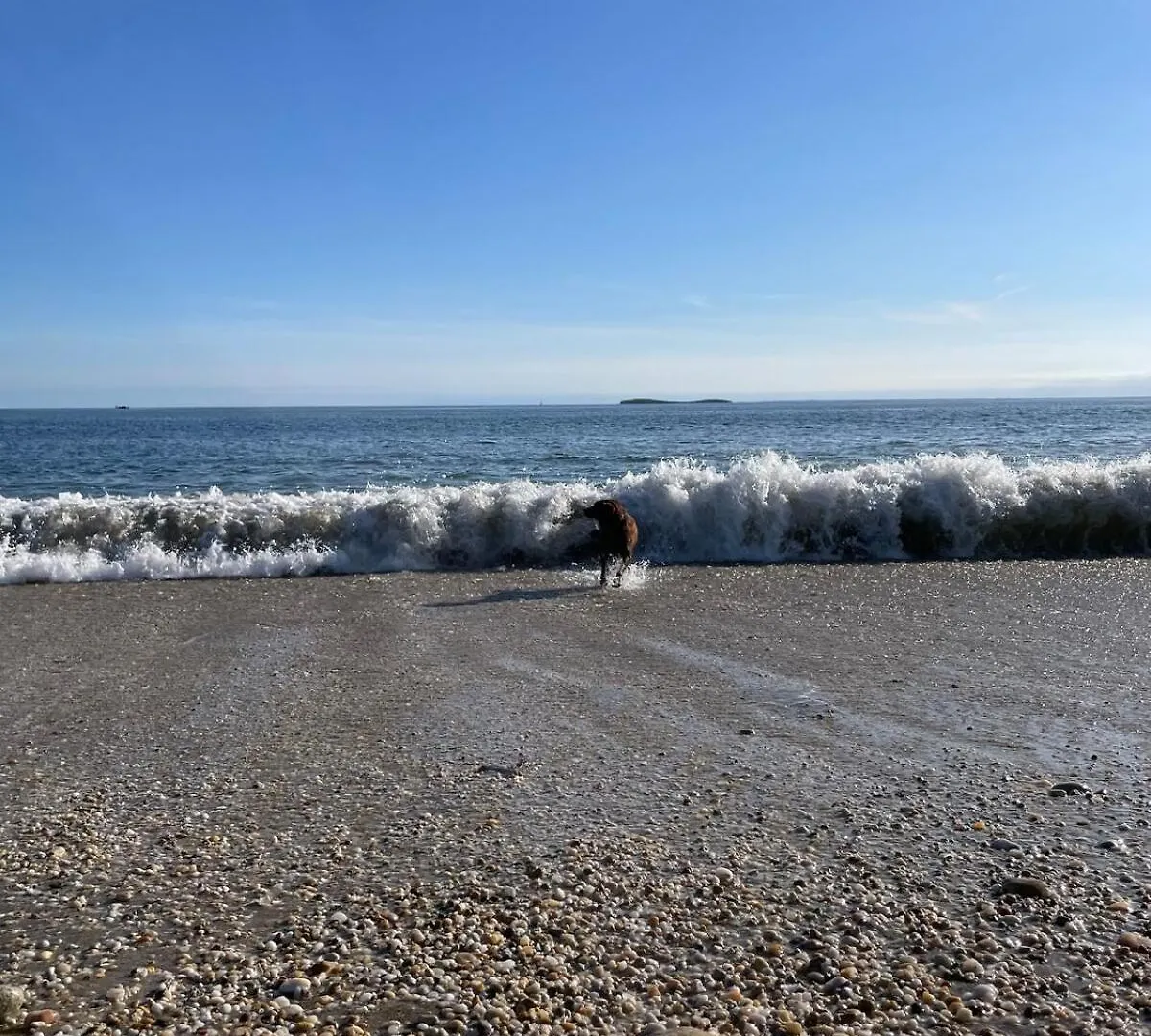 Maison Lumineuse A 7Mn Plages, 5Mn De La Trinite Saint-Philibert